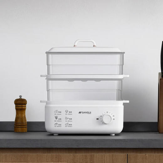 山水（SANSUI） 多功能双层电蒸锅  ZG10 白色 商品图6