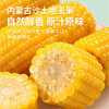 【内蒙古香糯玉米】来自黄金玉米产业带 3小时鲜制 锁住最佳口感 8根装/15根装 商品缩略图0