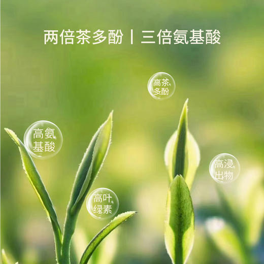 山田土2023新茶湖南湘西绿茶明前特级头采嫩芽黄金茶简约自饮伴手礼 商品图1