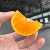 湖北秭归东方上橙枳砧蜜橙 家庭装/礼盒装 新鲜水果橙子 商品缩略图9