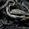 现货直发 福利放送【小户赛散茶】2022年头春古茶超值福利装整份500克一斤装云南普洱茶生茶临沧茶区 商品缩略图6