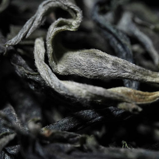 现货直发 福利放送【小户赛散茶】2022年头春古茶超值福利装整份500克一斤装云南普洱茶生茶临沧茶区 商品图6