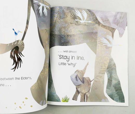 英文原版绘本 Little Why 为什么 Let's Read Together系列1 英文版 商品图2