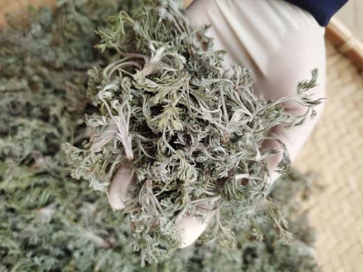 VIP私人定制服务【荒野茵陈】 商品图1