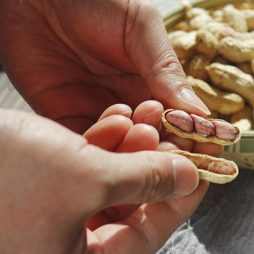 理想归农 龙岩花生 商品图2