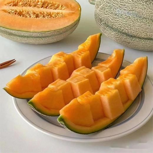 海南西州哈蜜瓜 | 水果 商品图0