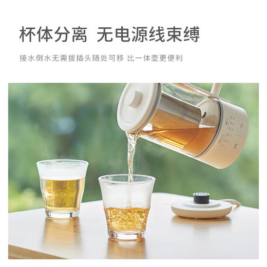 [屁侠推荐]olayks养生壶 多功能mini煮茶器 玻璃花茶烧水壶 商品图2