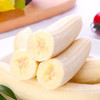 天宝香蕉🍌【国家地理标志产品】，2000多年种植历史   463项检测无农残  皮薄无芯  香软滑糯 吃一口就会爱上 商品缩略图8