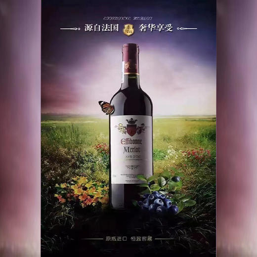 梅洛干红葡萄酒  750ml/瓶 【BC】【YFM】 商品图0