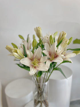 【周四秒杀】赞美诗百合3枝39.8元