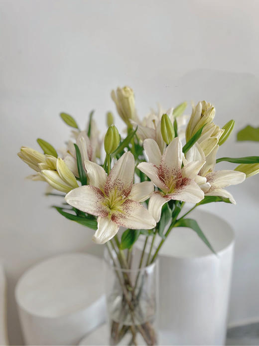 【周四秒杀】赞美诗百合3枝39.8元 商品图0