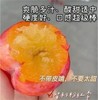 智利粉红李  |水果 商品缩略图0