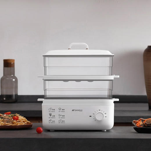 山水（SANSUI） 多功能双层电蒸锅  ZG10 白色 商品图5