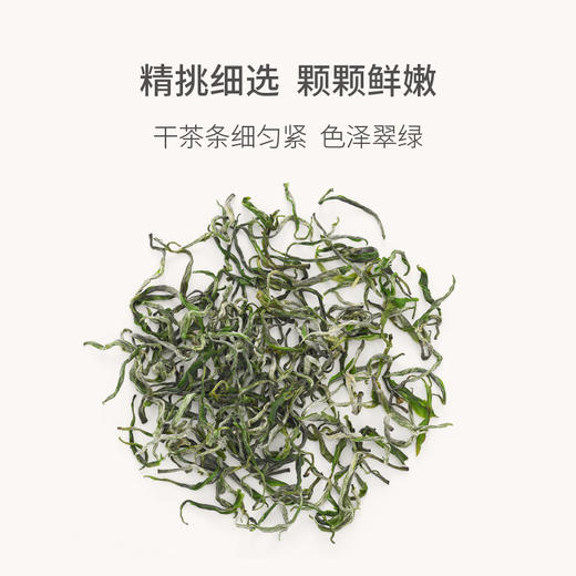 山田土2023新茶湖南湘西绿茶明前特级头采嫩芽黄金茶简约自饮伴手礼 商品图2