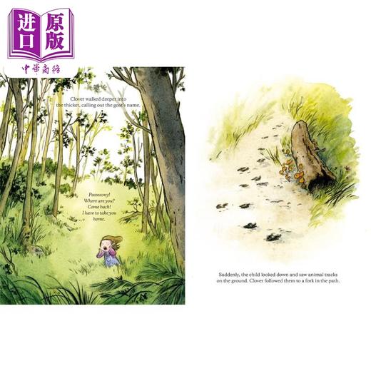 【中商原版】Clover 三叶草 英文原版 进口图书 儿童绘本 动物故事图画书 商品图1