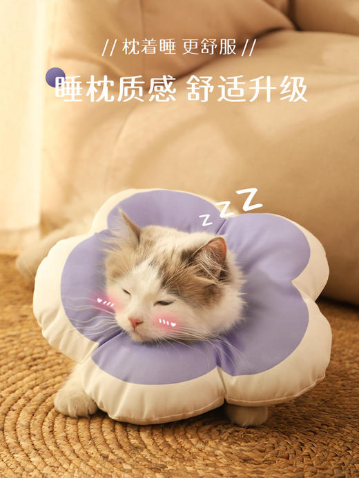 【好物推荐】猫咪项圈伊丽莎白圈狗狗防舔软头套 商品图4