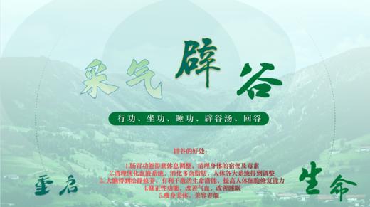 【采气辟谷1~7天：行功 睡功 坐功 辟谷汤 回谷】调理肠胃排毒减脂改善气血 商品图0