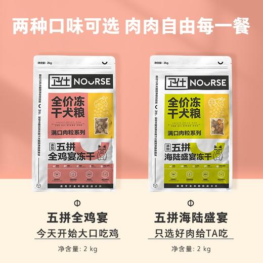 卫仕全价五拼冻干狗粮2kg通用型犬粮幼犬成犬柯基泰迪小型犬主食 商品图2