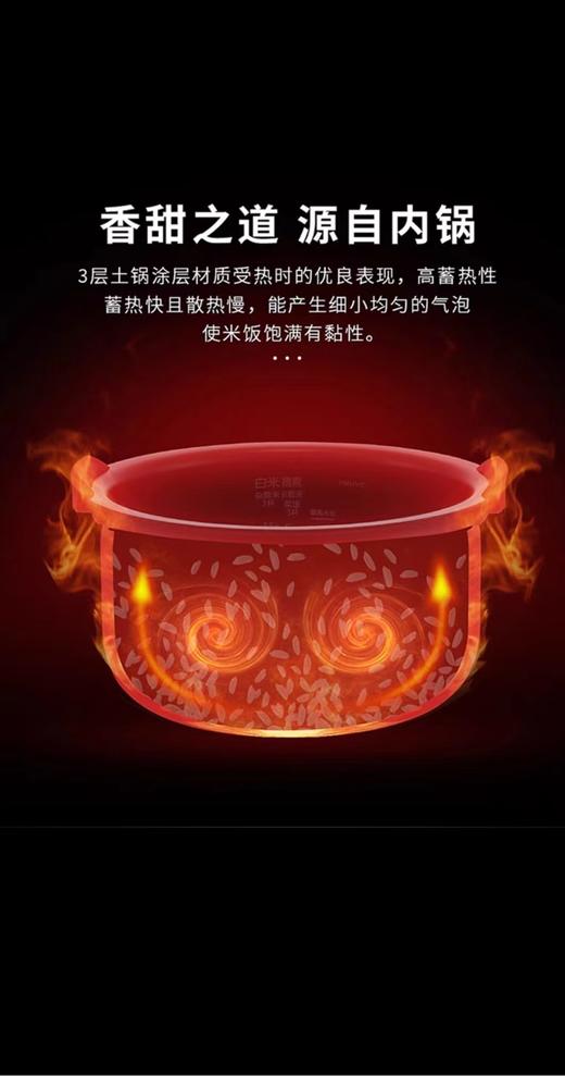 【虎牌】B7F  虎牌压力电饭煲JPM-S10C 商品图5