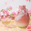 抖音高颜值酒果味黄酒桃花醉少女心甜酒送礼500ml*2瓶装 桃花酿 桃花醉/青梅/柚子/葡萄/蓝莓/花雕20年陈 小酌怡情    送精美礼袋 商品缩略图0