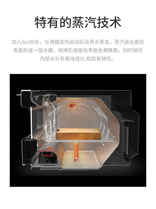 BALMUDA/巴慕达 蒸汽烤箱 商品图5