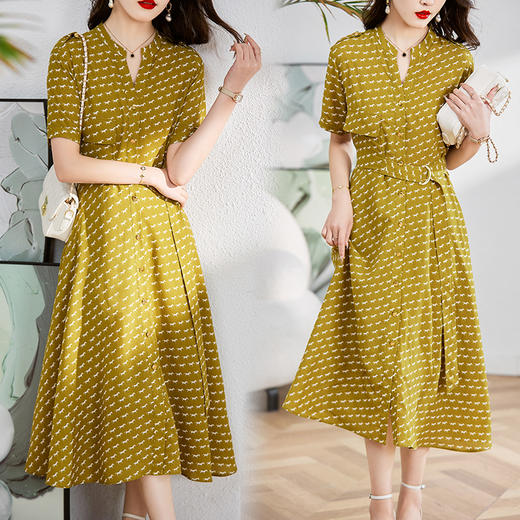 气质修身，V领印花束腰显瘦中长款裙子单排扣连衣裙HR-WL6159 商品图5