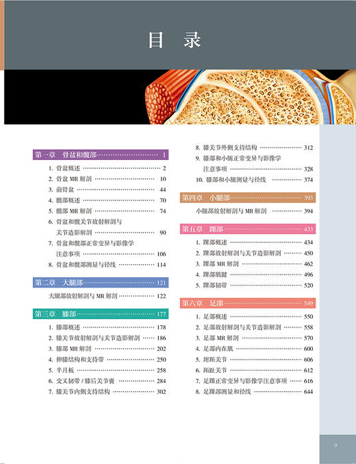 骨骼肌肉系统影像解剖学 第2版 下肢卷 徐文坚 白荣杰主译 下肢横断面冠状面矢状面断层图像图谱 北京大学医学出版社9787565928017 商品图2