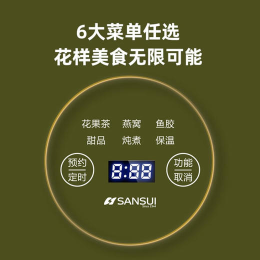 山水（SANSUI）电炖养生杯KT-920 （电脑款） 绿色 商品图3