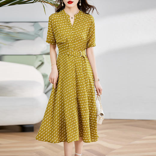 气质修身，V领印花束腰显瘦中长款裙子单排扣连衣裙HR-WL6159 商品图2