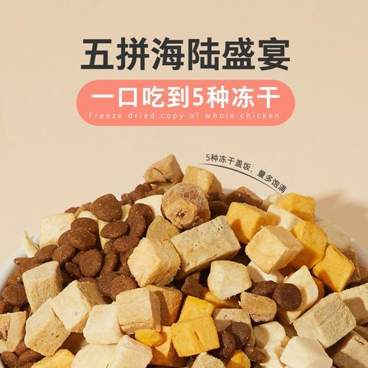 卫仕全价五拼冻干狗粮2kg通用型犬粮幼犬成犬柯基泰迪小型犬主食 商品图1