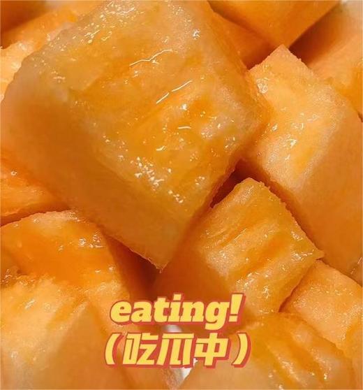海南西州哈蜜瓜 | 水果 商品图3