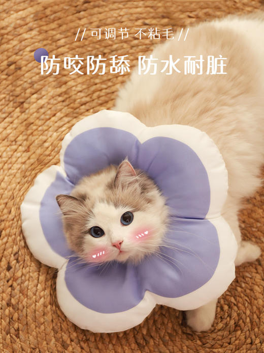 【好物推荐】猫咪项圈伊丽莎白圈狗狗防舔软头套 商品图1