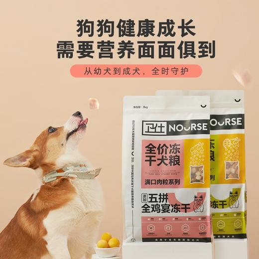 卫仕全价五拼冻干狗粮2kg通用型犬粮幼犬成犬柯基泰迪小型犬主食 商品图3