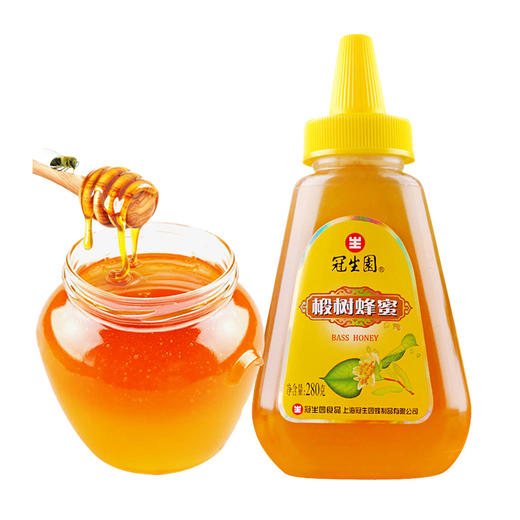 280g冠生园椴树蜜 商品图0