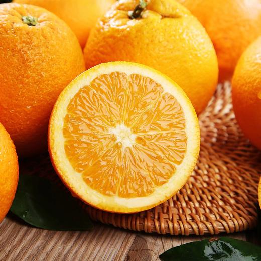 湖北秭归东方上橙枳砧蜜橙 家庭装/礼盒装 新鲜水果橙子 商品图3