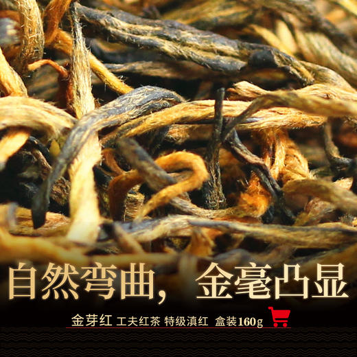【至臻至善 红韵悠扬】蒲门 臻传特级滇红金芽 高端金针红茶 160g/盒（京东同款） 商品图1