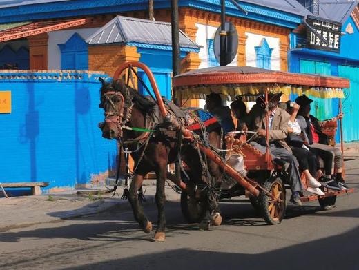 旧版不上架2023年暑假丨8天7夜新疆房车亲子游 商品图4