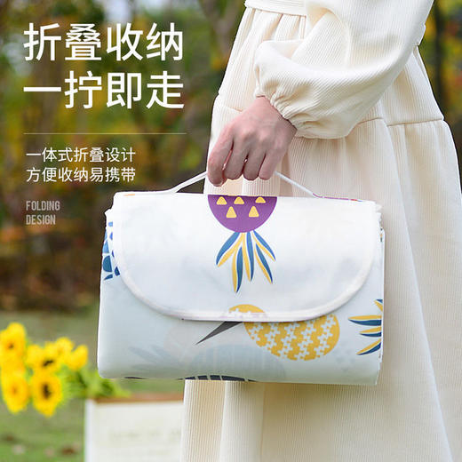 【可折叠野餐垫！双面防水】春夏野餐垫防潮垫加厚野餐布 春游便携露营地垫郊游户外防水垫子 商品图0