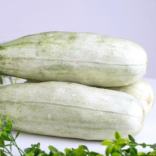 【山东.博洋61羊角蜜瓜】果香浓郁，清甜脆爽，甘甜多汁，瓜肉香甜脆，瓜汁似蜜糖～ 商品图4