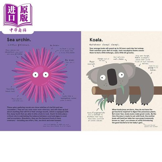 【中商原版】The World's Most Pointless Animals Or are They? 世上至没用的动物 或真如此吗？诙谐古怪 插图色彩丰富 动物知识绘本 商品图5