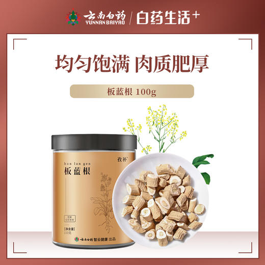 【官方正品】云南白药孜补板蓝根100g板兰根圆切片肉质肥厚饱满泡水 商品图6