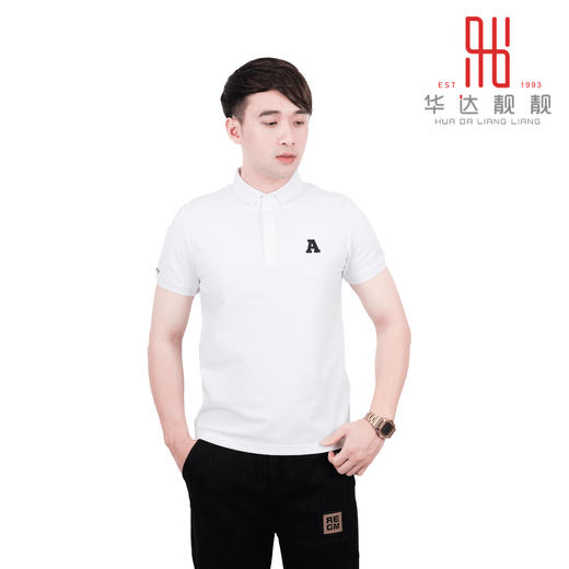 男装2023春季新品休闲短袖POLO杉立领T恤2178-LS2345 商品图0