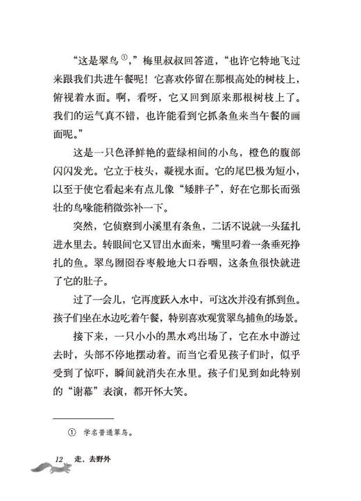 《走，去野外（全4册）》英国“童书女王”伊妮德·布莱顿写给孩子的自然观察故事书 商品图9