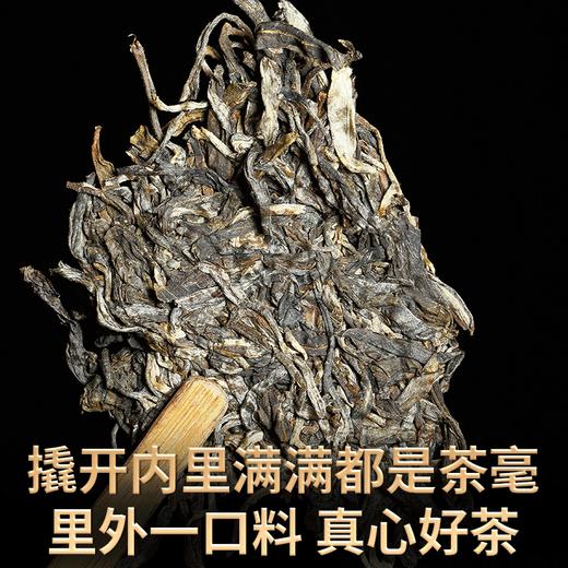 2023春茶 吉顺号古500蟒蛇箐古树普洱茶生茶七子饼茶茶叶357g 商品图3