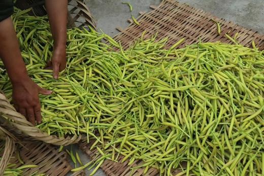【秦岭野生干黄花菜500g】秦岭深处自然生长 无人为干预 当地农户采摘 自然晒干 商品图2