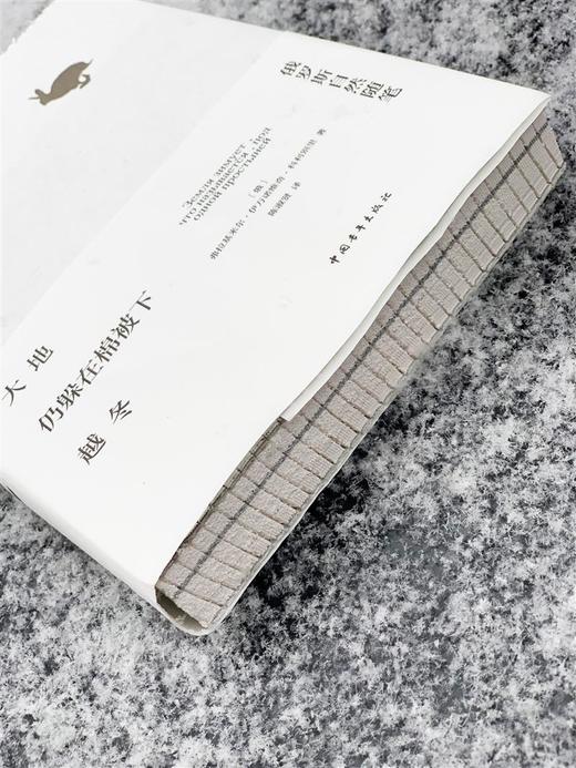 大地仍躲在棉被下越冬:俄罗斯自然随笔 弗拉基米尔·伊万诺维奇·科利别里著 陈淑贤译 中国青年出版社 商品图3