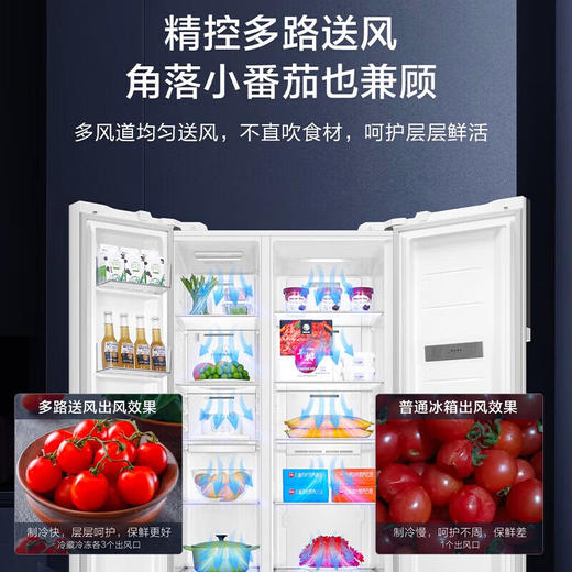 海尔冰箱 621升双开门对开门一级变频风冷无霜家用大容量电冰箱 大冷冻空间 BCD-621WLHSS95W9U1 商品图1