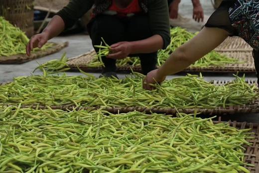 【秦岭野生干黄花菜500g】秦岭深处自然生长 无人为干预 当地农户采摘 自然晒干 商品图8