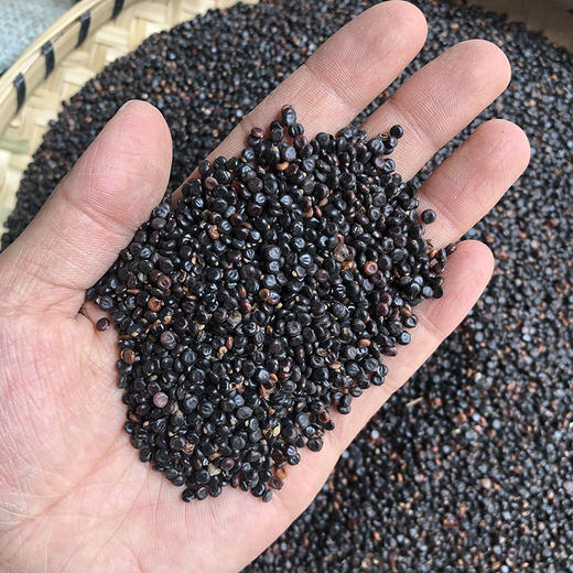 水红花子 商品图2