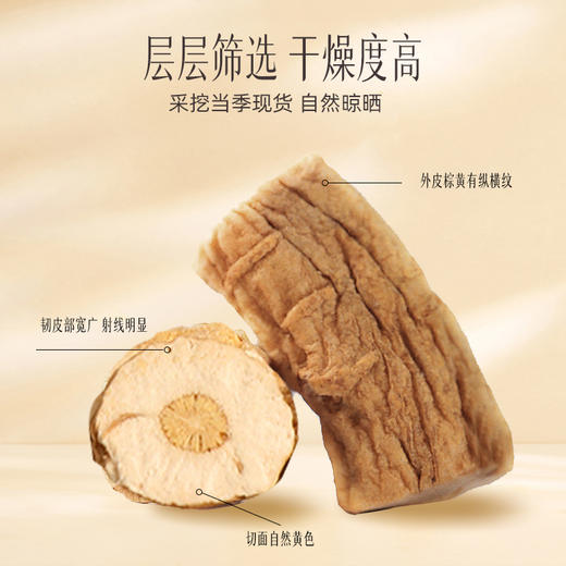 【官方正品】云南白药孜补板蓝根100g板兰根圆切片肉质肥厚饱满泡水 商品图2